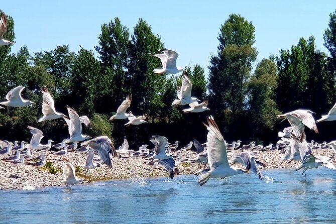 Stand Up Paddle at Skadar lake and Hiking from Valbona to Theth in 4 Days - Leaving Tirana at 5:00 for Koman Lake