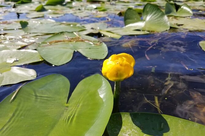Stand Up Paddle at Skadar lake and Hiking from Valbona to Theth in 4 Days - Should you book it?