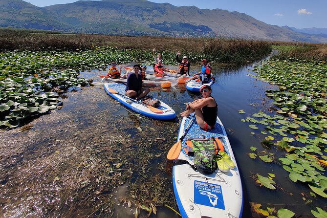 Stand Up Paddle Board or Kayak Rental in Shkodër - Picking your kayak or stand-up paddleboard