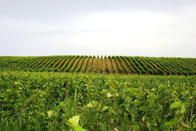 Tour of Kruja and Wine Tasting in one Day from Tirana - Kokomani Winery and the final two hours