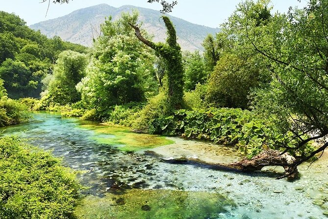 Tour to Butrint Antic City/Blue Eye Spring/Lekursi Castle - Why this private Saranda tour works well