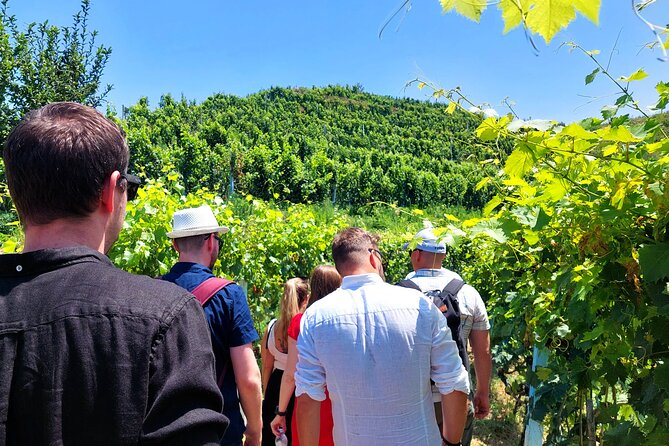 Vineyards, Albanian Wine Tasting & Boat Tour from Tirana/Durres - Key Points Before You Book