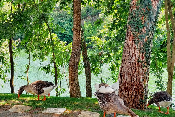 Vineyards, Albanian Wine Tasting & Boat Tour from Tirana/Durres - Who Will Enjoy This Half-Day Outing?