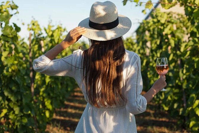 Wine Tasting & Vineyards Escape near Tirana - Key points to know before booking