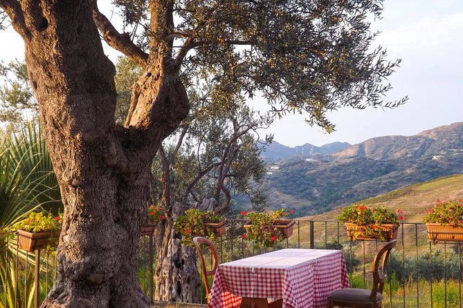 Wine Tasting & Vineyards Escape near Tirana - Three glasses and traditional Albanian snacks