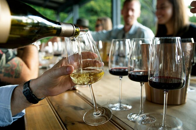 Wine Tasting & Vineyards Escape near Tirana - Quiet vineyard time and views across the valley