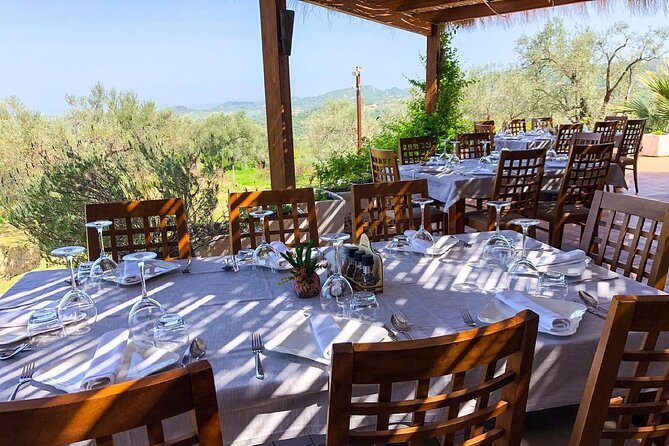 Wine Tasting & Vineyards Escape near Tirana - What the guide and group size add