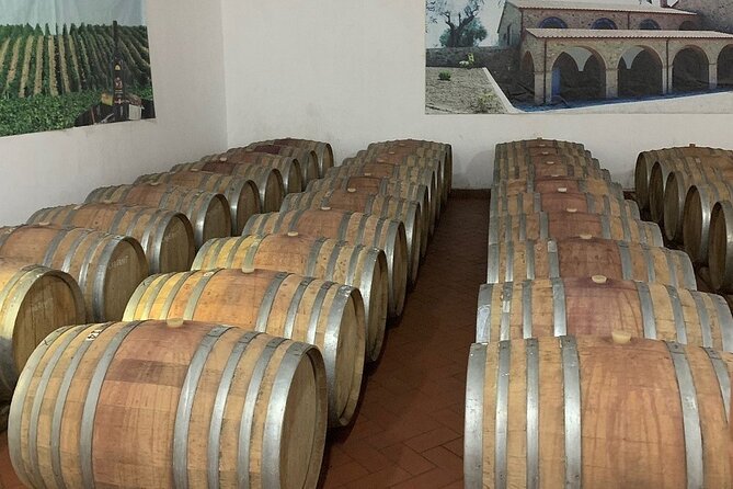 Wine Tasting & Vineyards Escape near Tirana - Is $118.58 good value?
