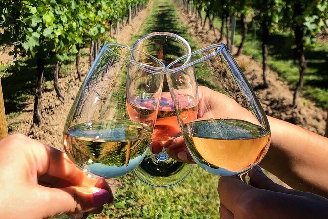 Wine Tasting & Vineyards Escape near Tirana - Timing, meeting point, and cancellation advice