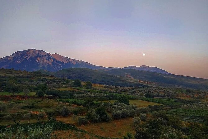 Winetasting tour in Alpeta winery - Roshnik village by 1001 Albanian Adventures - Timing, group size, and practical comfort