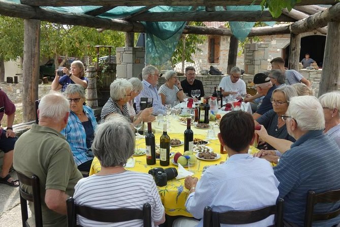 Winetasting tour in Alpeta winery - Roshnik village by 1001 Albanian Adventures - Walking through the vineyards in Roshnik